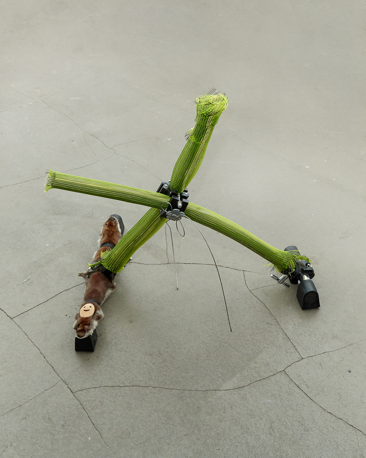 gallery 05